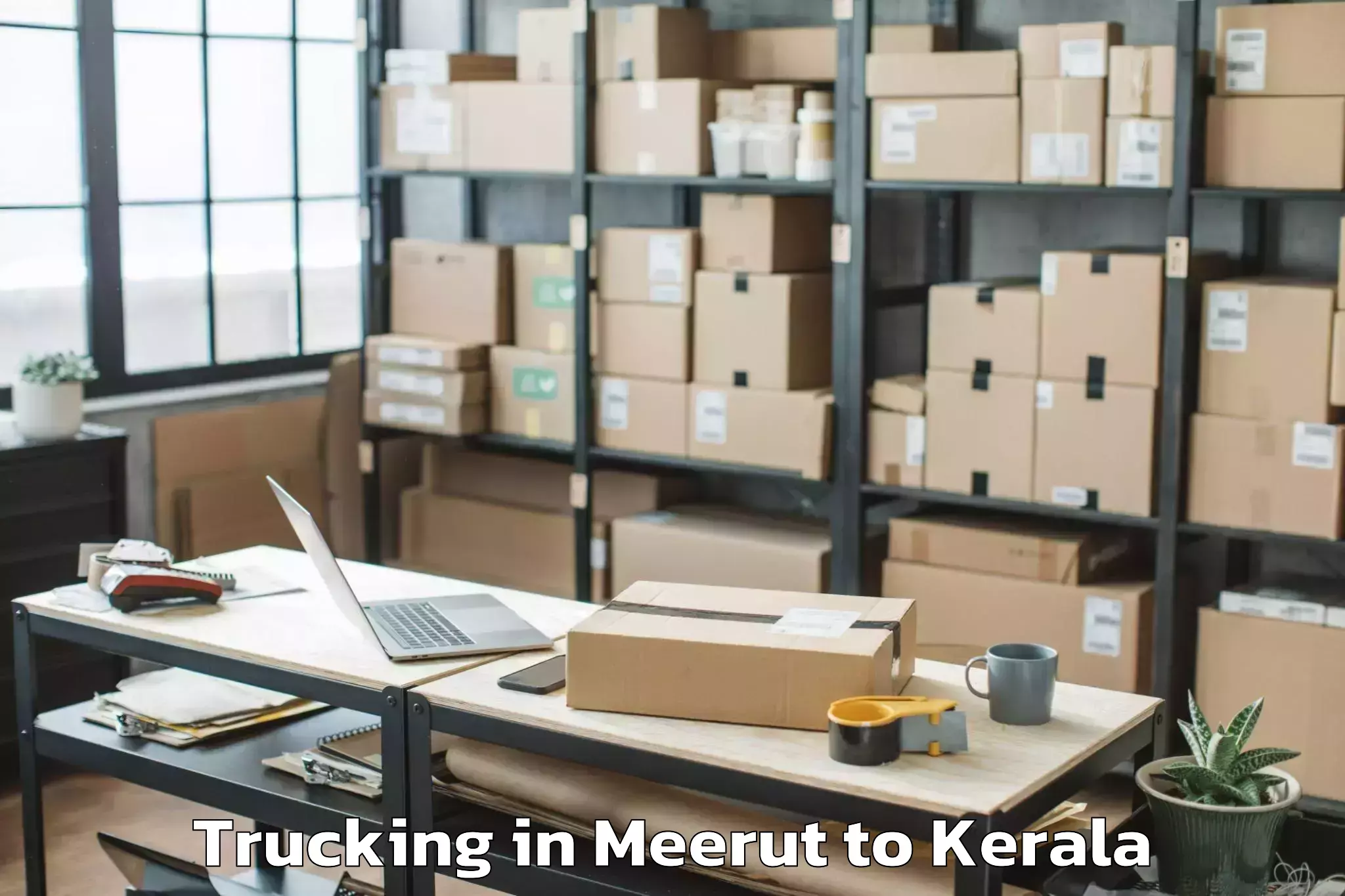 Reliable Meerut to Gold Souk Grande Mall Kochi Trucking